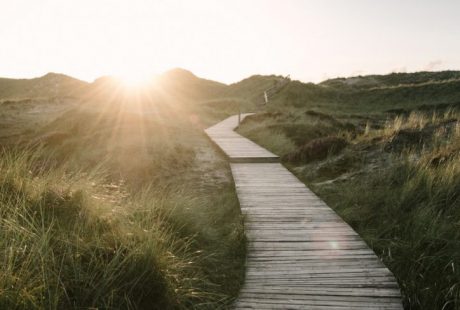 New Moon of Virgo: Embracing Change