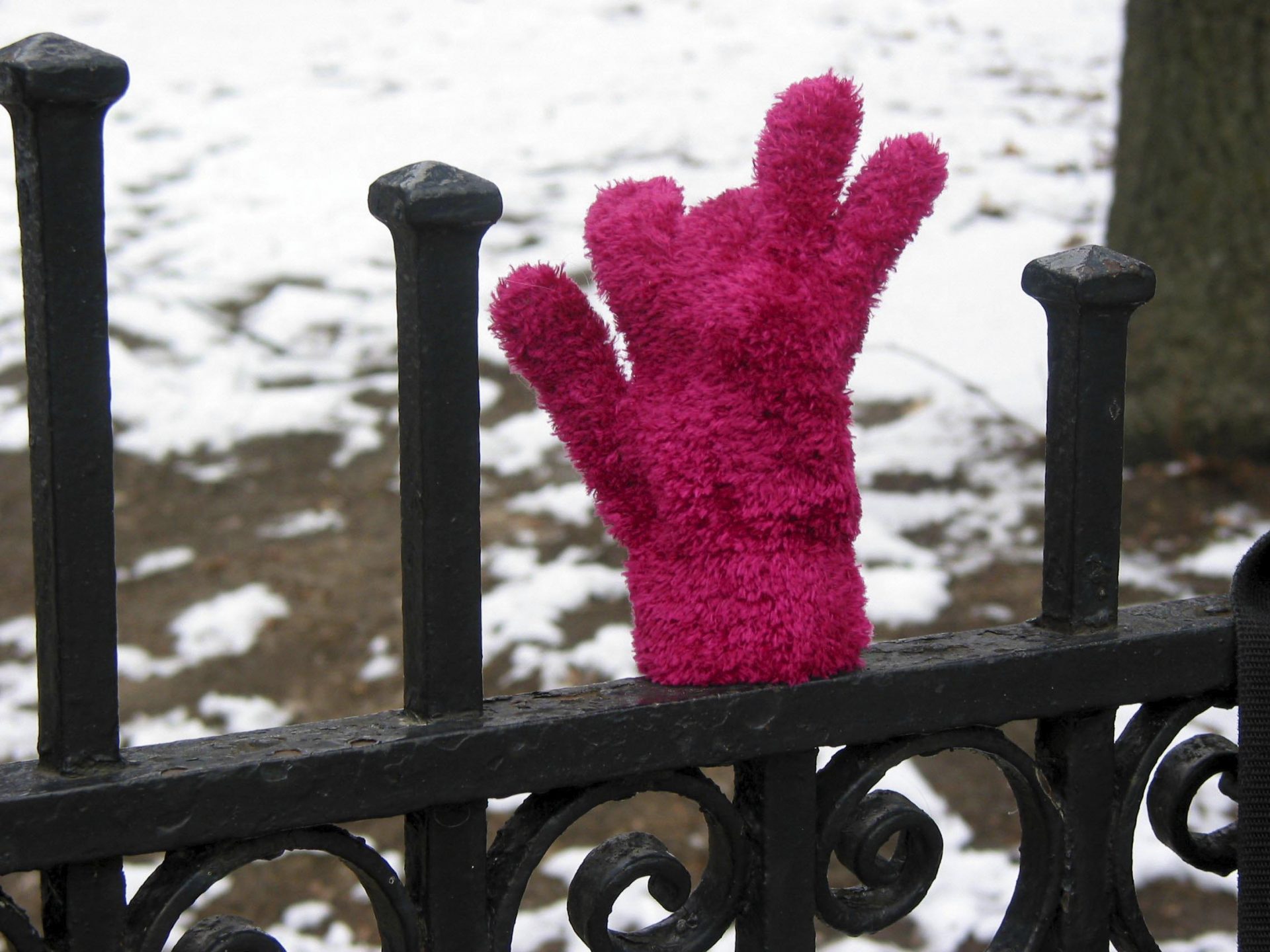 the-tale-of-the-other-glove-monica-berg