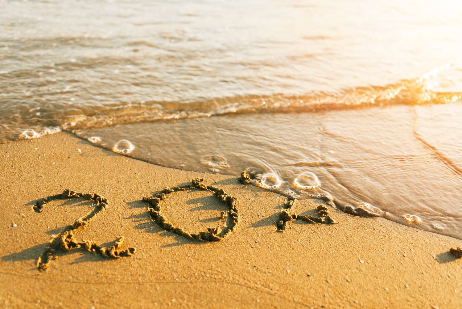 A Year and a Life