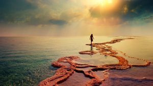 To Be a Leader, Be Like the Light