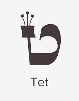 The Essence of the Letter Tet: Darkness Is Only Light